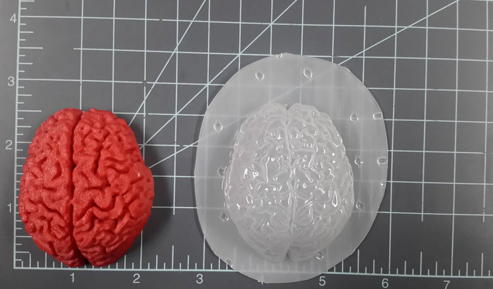 Human Brain Mold
