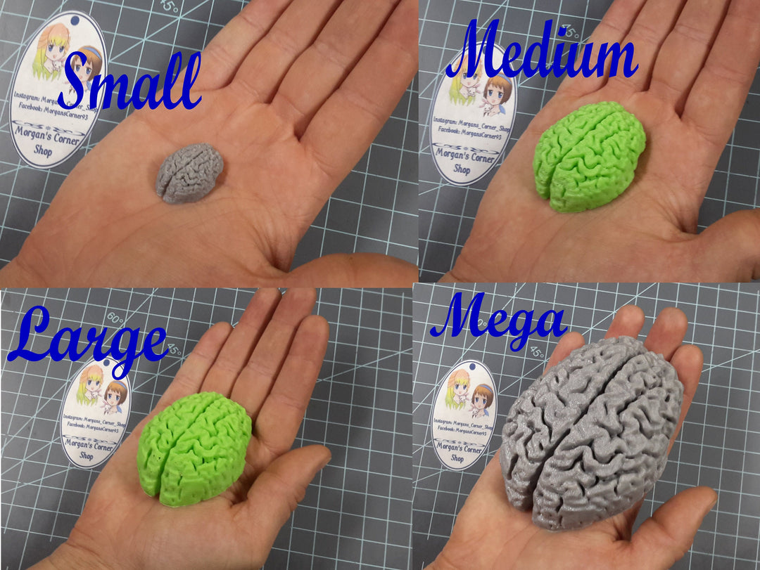 Human Brain Mold