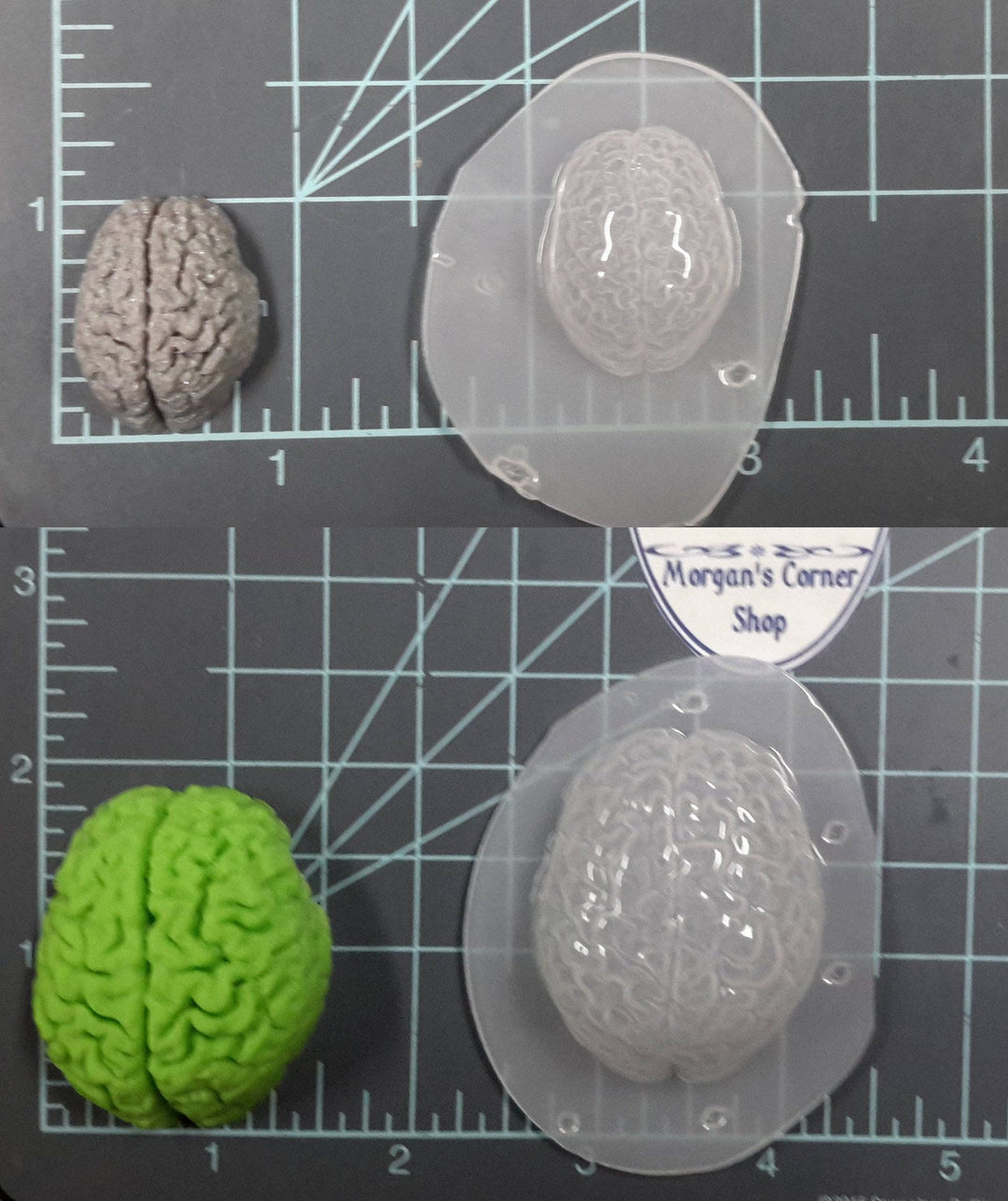 Human Brain Mold