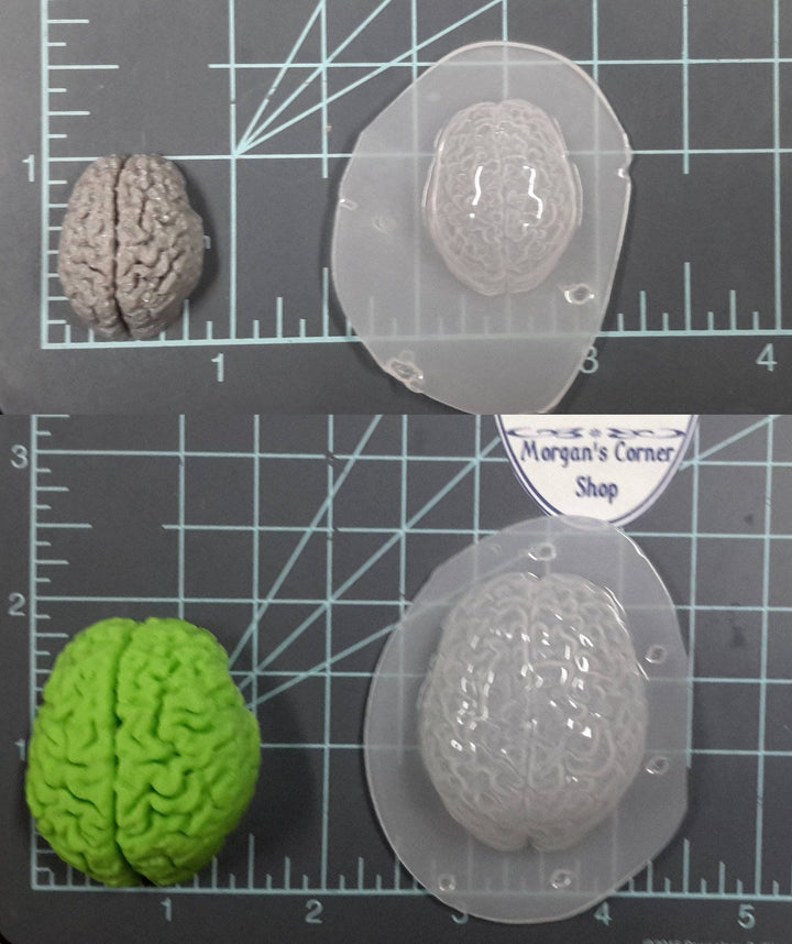 Human Brain Mold