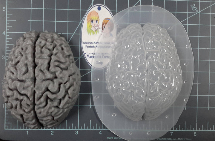 Human Brain Mold