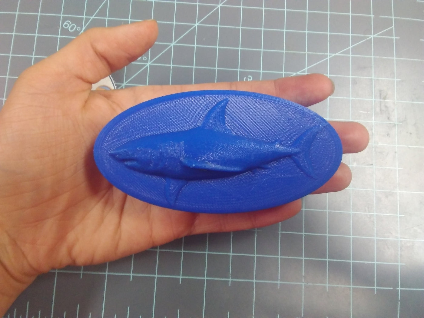 Shark Mold