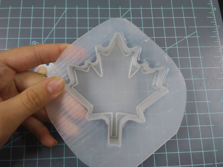 Maple Leaf Mold