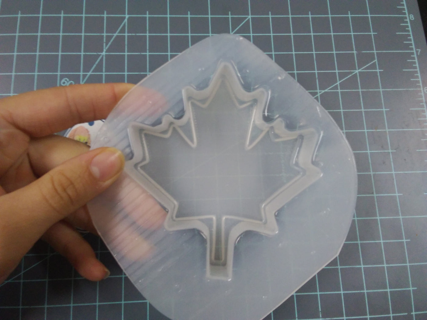 Maple Leaf Mold