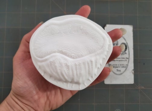 Coconut Mold