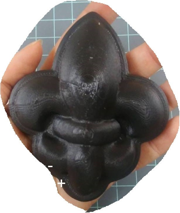 Fleur de lis Mold