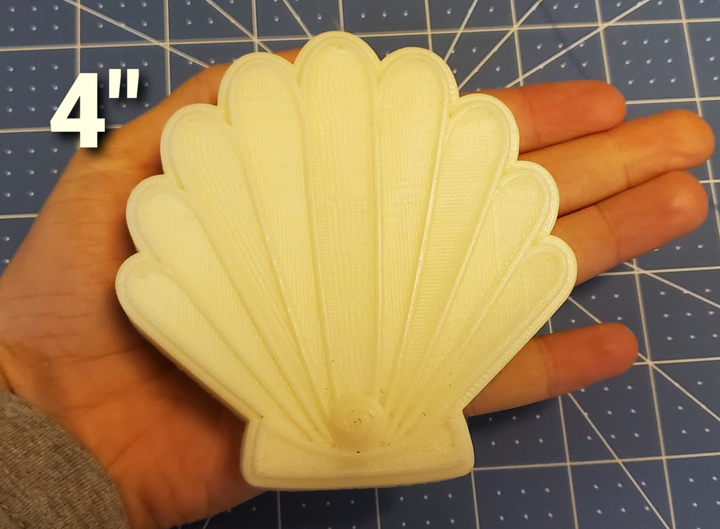 Seashell Mold