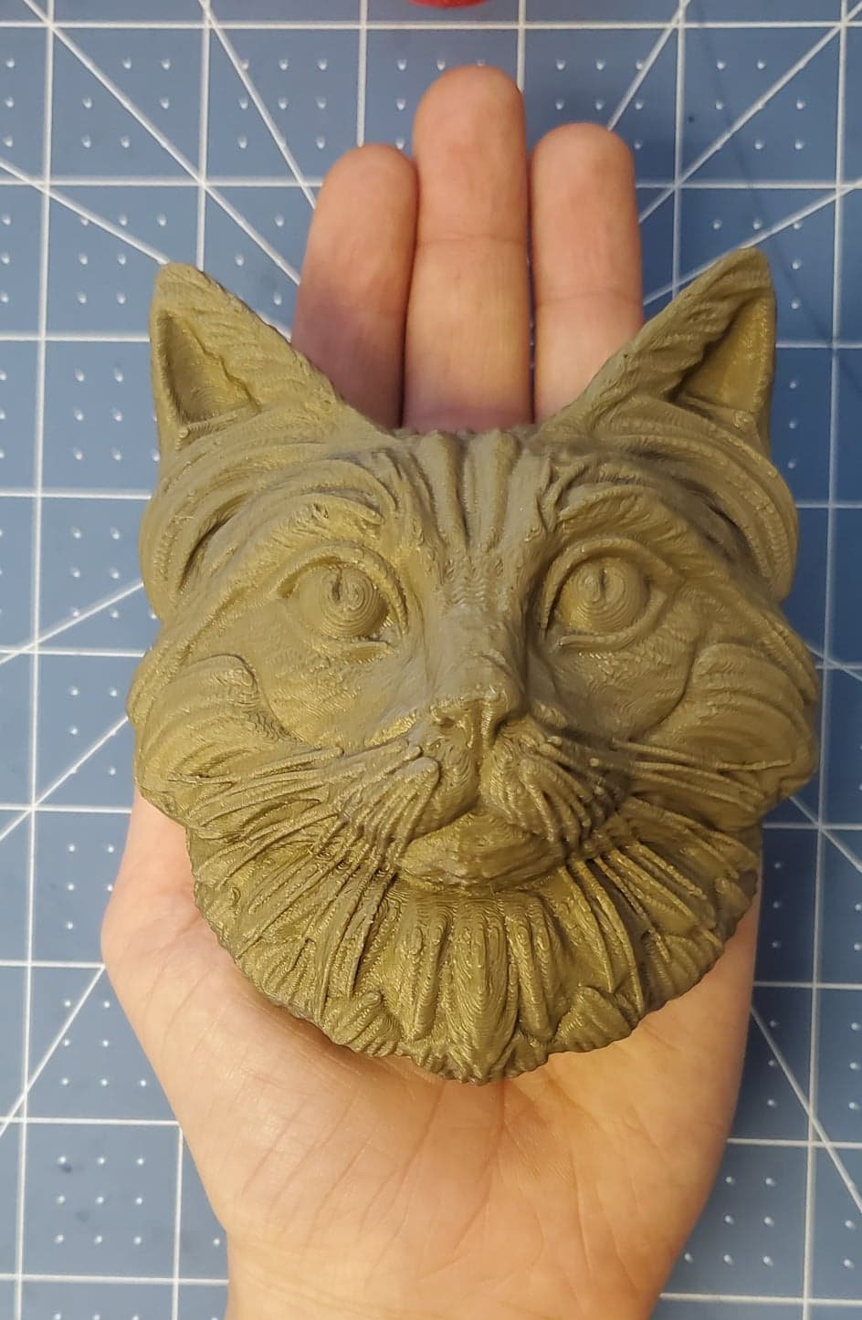 Tabby Cat Head Mold