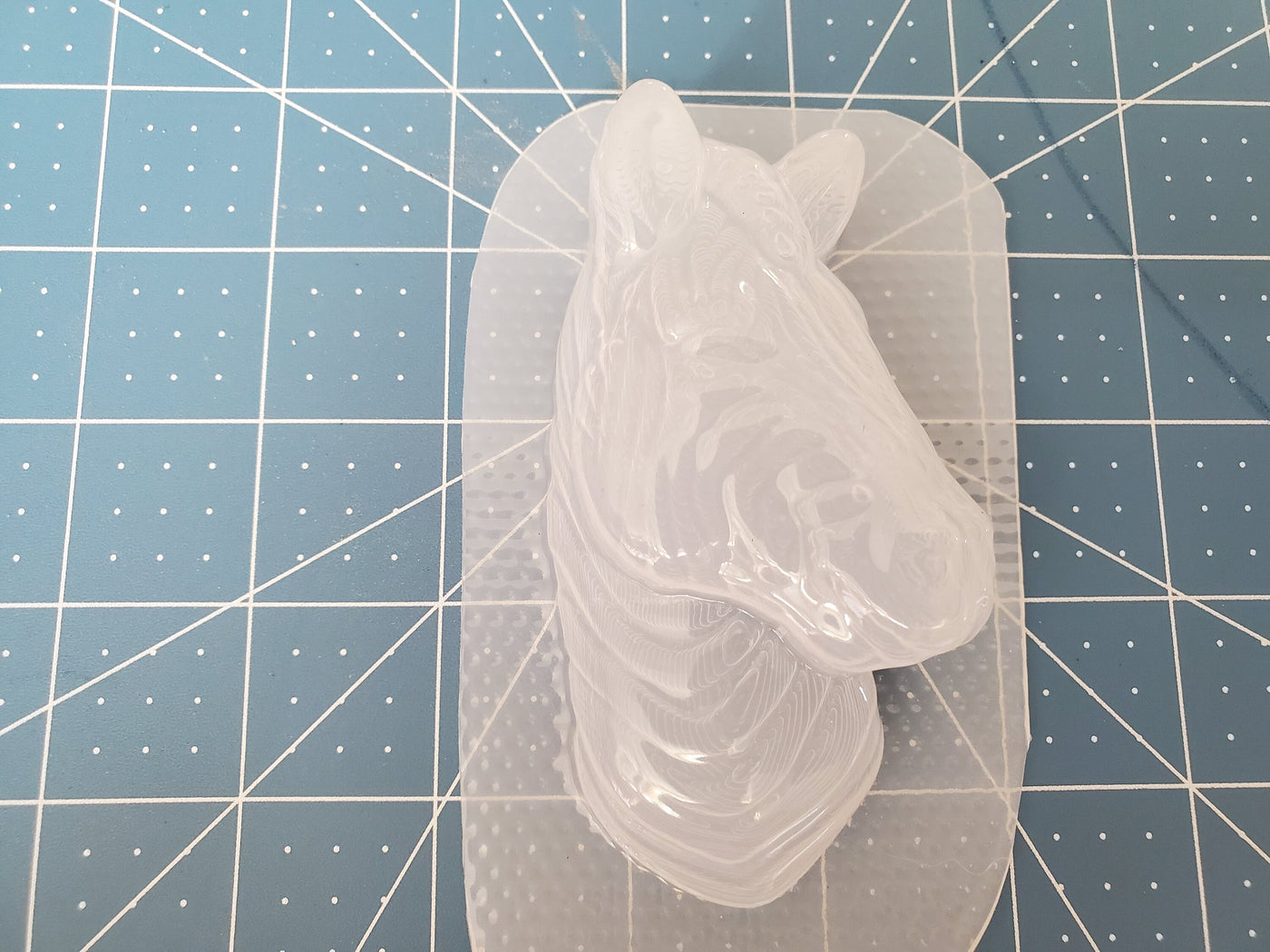 Zebra Head Mold