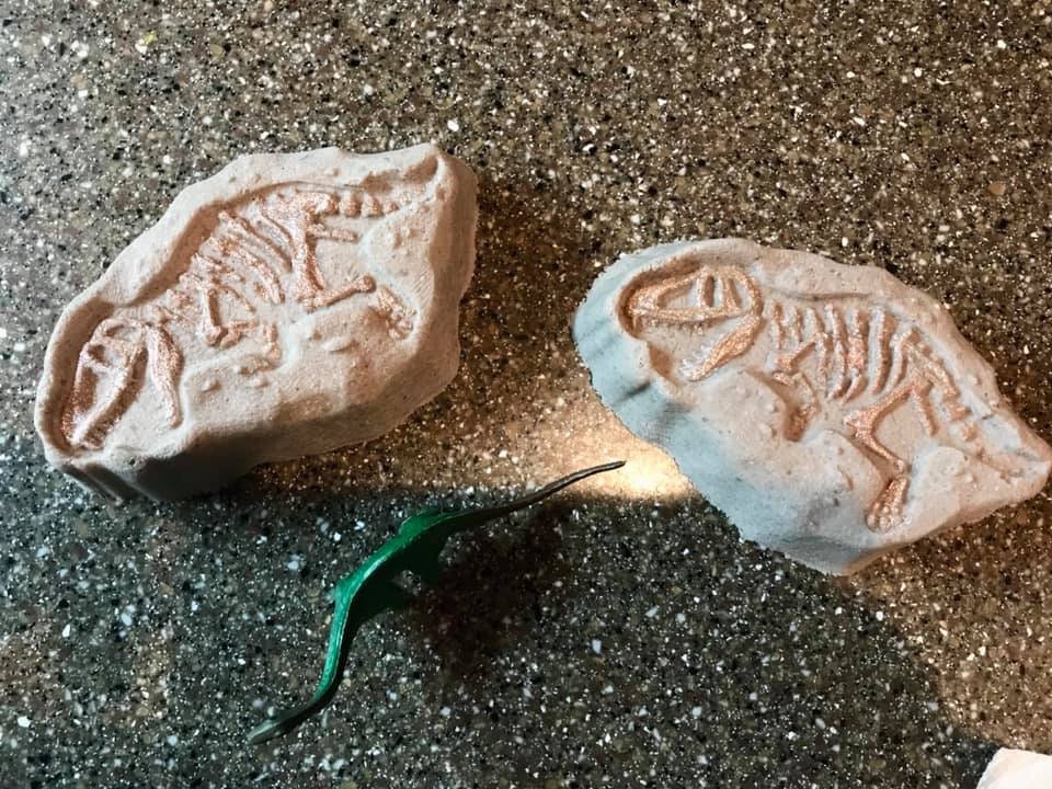 Dino Fossils Mold