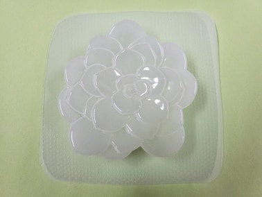 Succulent Mold