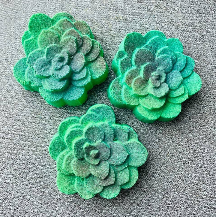 Succulent Mold