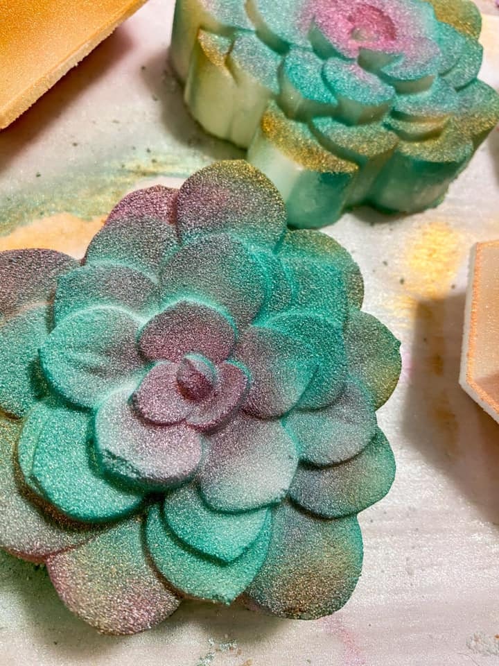 Succulent Mold