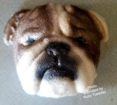 English Bulldog Head Mold