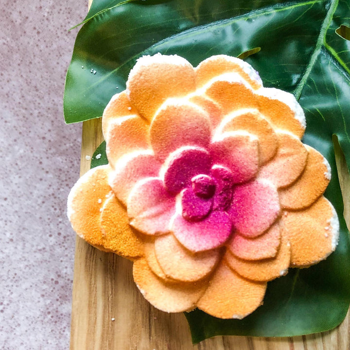 Succulent Mold