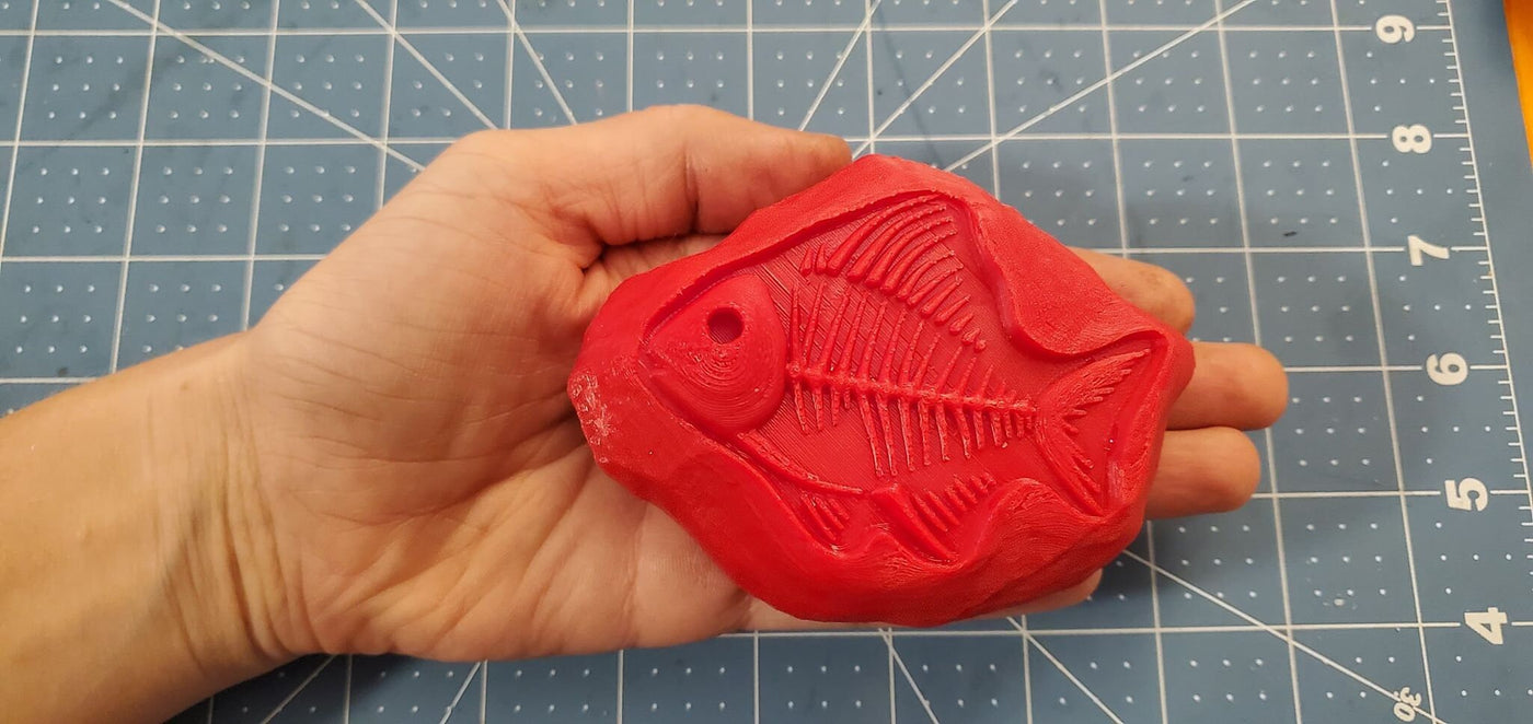 Fish Fossil Mold