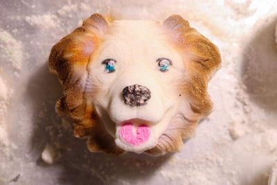 Australian Shepherd Plastic Mold, dog mold, bath bomb mold, soap mold, shepherd mold, resin mold, puppy mold, collie mold, dog head mold