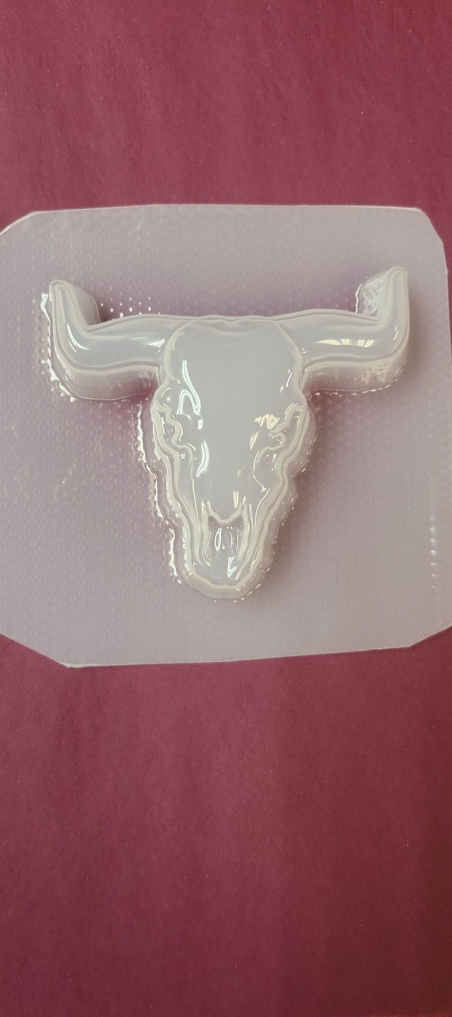 Steer Head Skull Mold