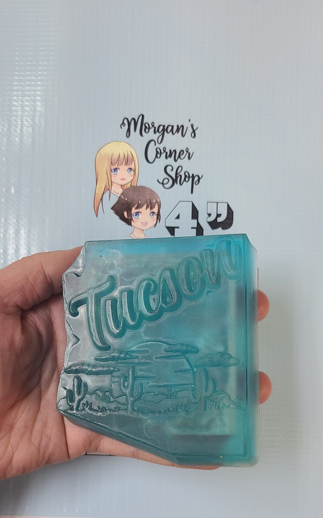 Arizona State Plastic Mold, bath bomb mold, soap mold, state mold, resin mold, country mold, usa mold, Tucson Mold, Desert sunset scene Mold