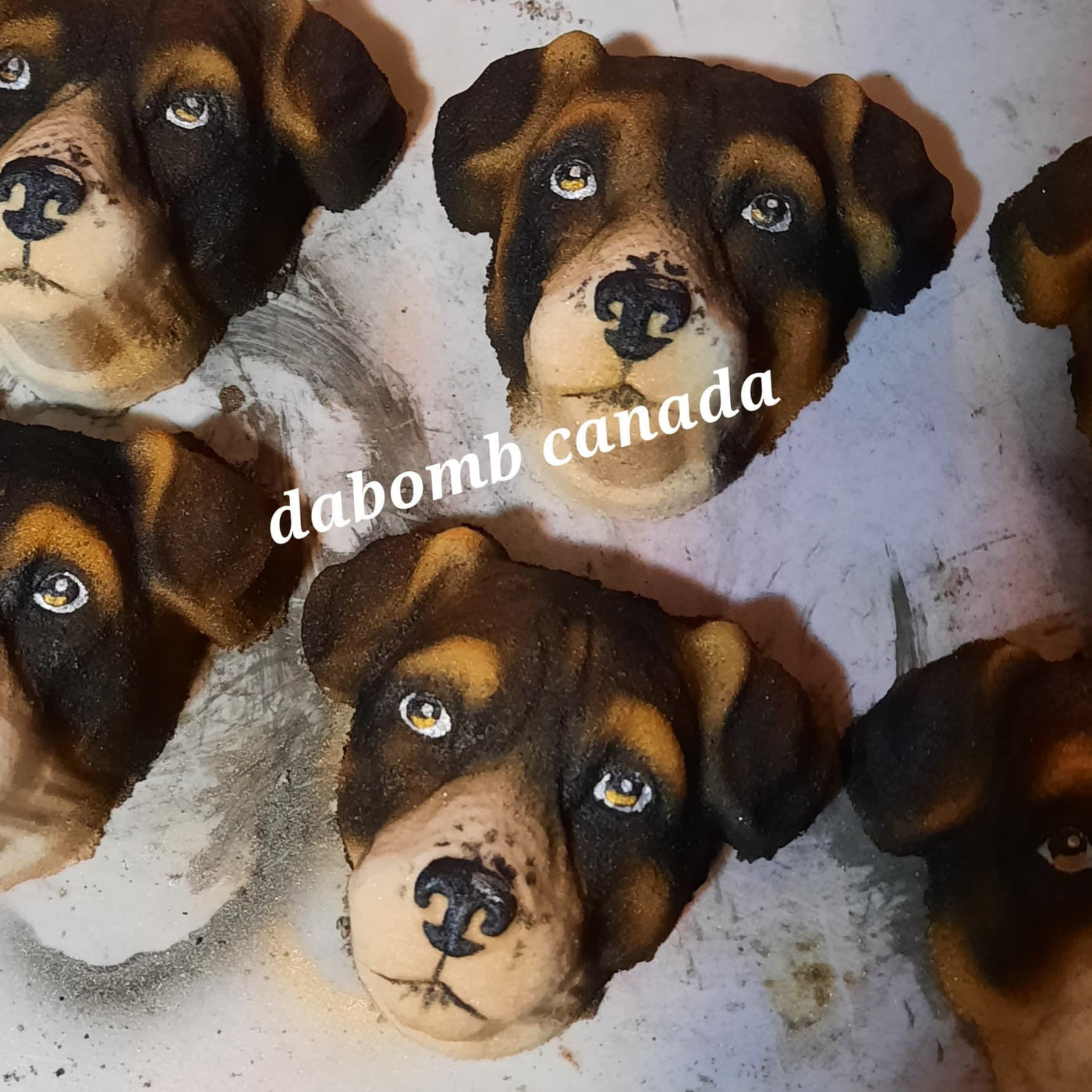 Jack Russell Terrier Plastic Mold, dog mold, bath bomb mold, soap mold, jack Russell mold, resin mold, puppy mold, terrier mold mold, head