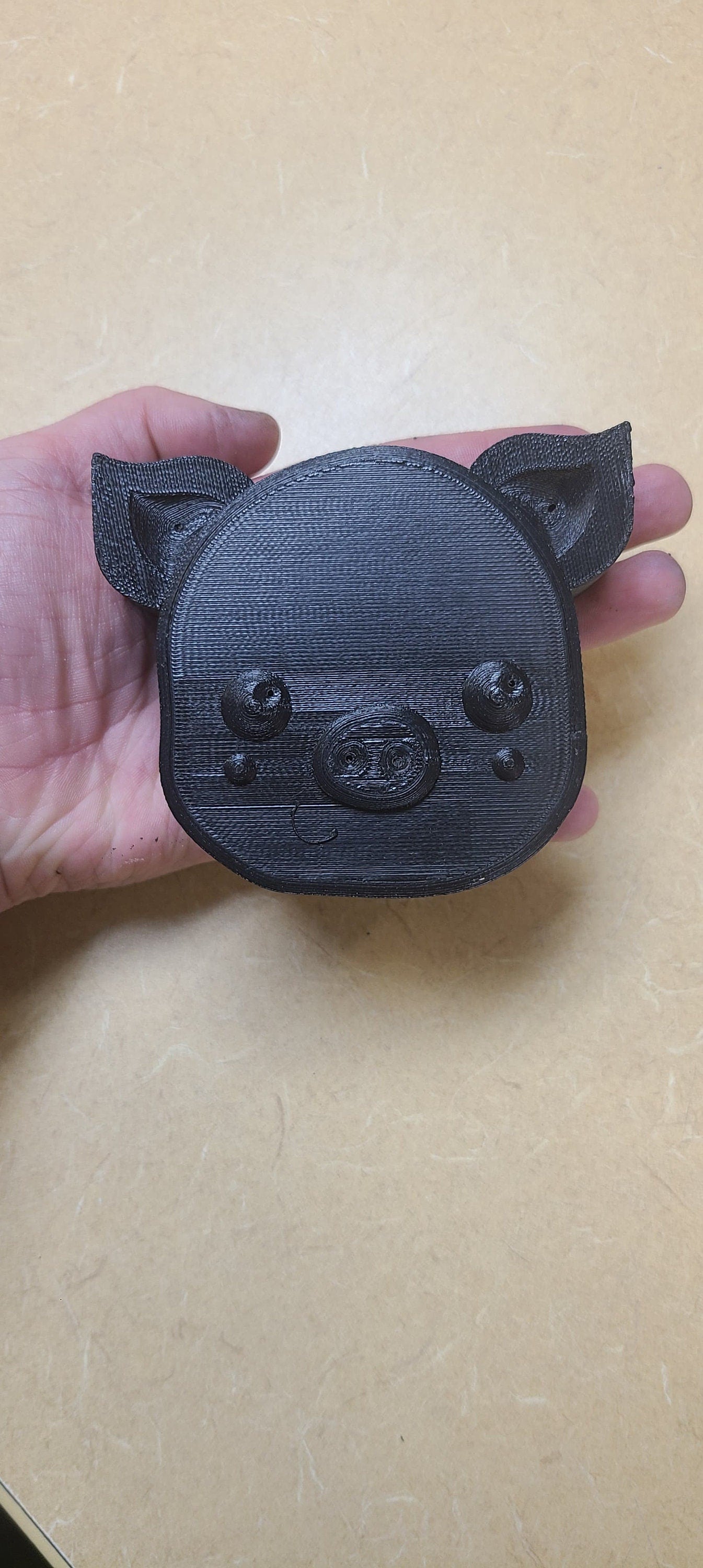 Simple Pig Face Mold