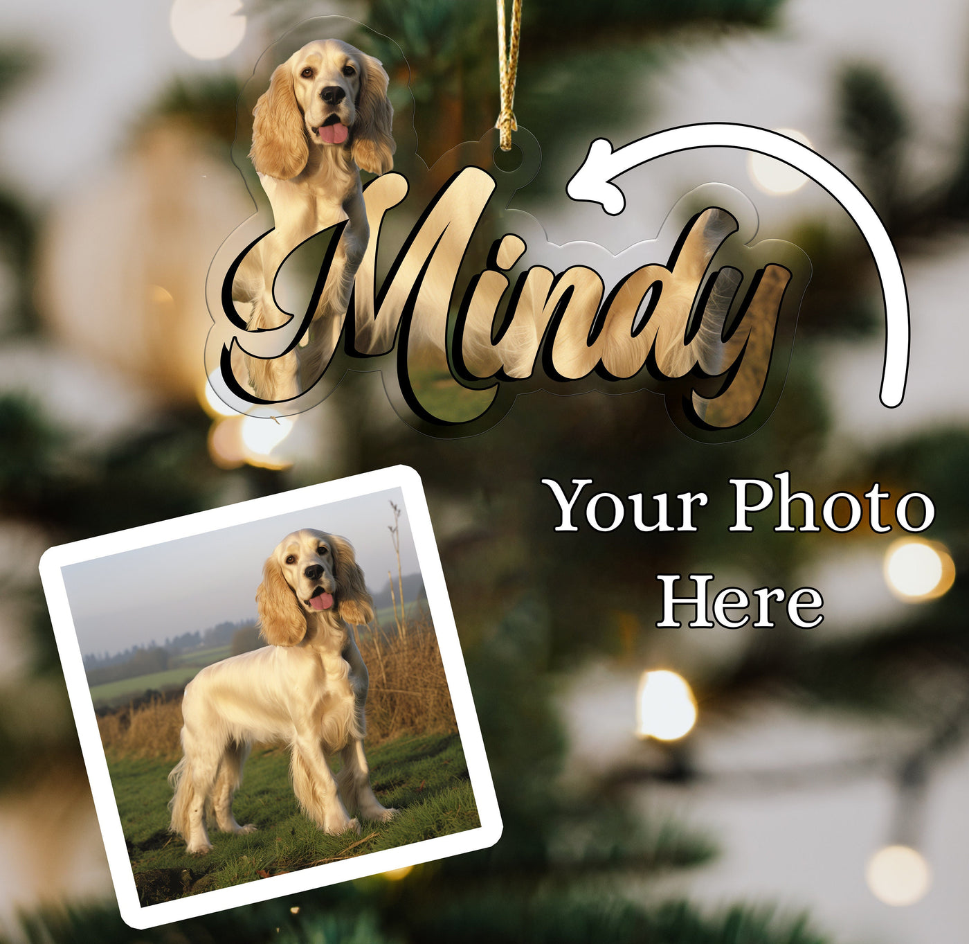 Custom Acrylic Personalized Pet Ornament, custom phot ornament, pet name ornament, Pet Photo Ornament, Memorial Ornament,