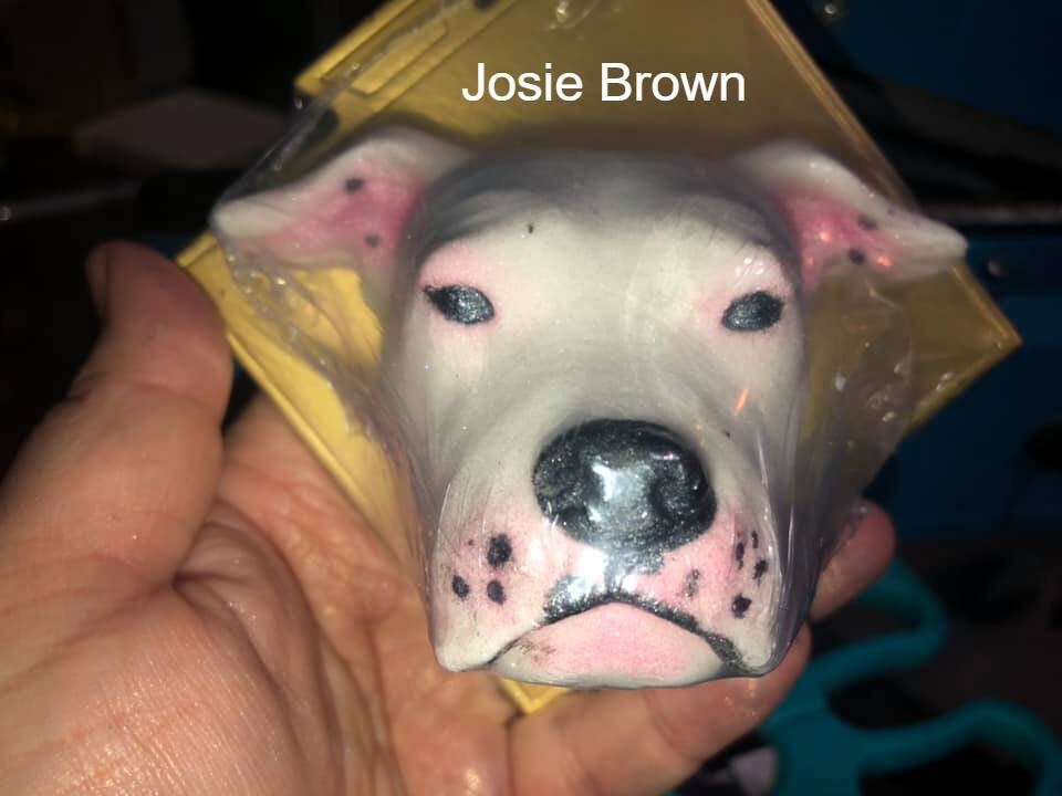 Pit Bull Plastic Mold, dog mold, bath bomb mold, soap mold, pitbull mold, resin mold, puppy mold, pup mold, Terrier mold, American pit bull